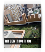 Green Roofing 